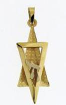  3D Star of David Pendant  Chai