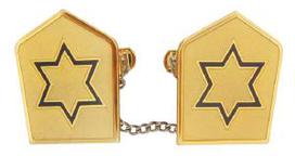 Gold star Tallit Clip